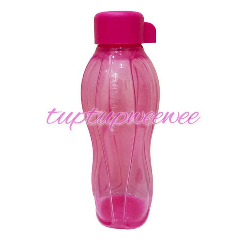 Jual Tupperware Eco Bottle Botol 500ml Tutup Ulir Shopee Indonesia