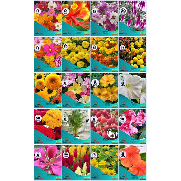 Jual promo termurah paket hemat 20 jenis biji benih bunga gratis ...
