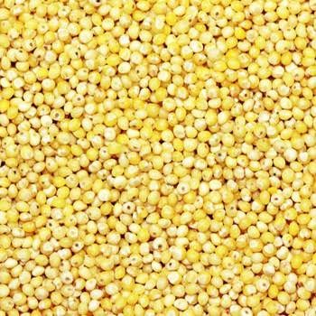 Jual Milet Kuning 25kg | Shopee Indonesia
