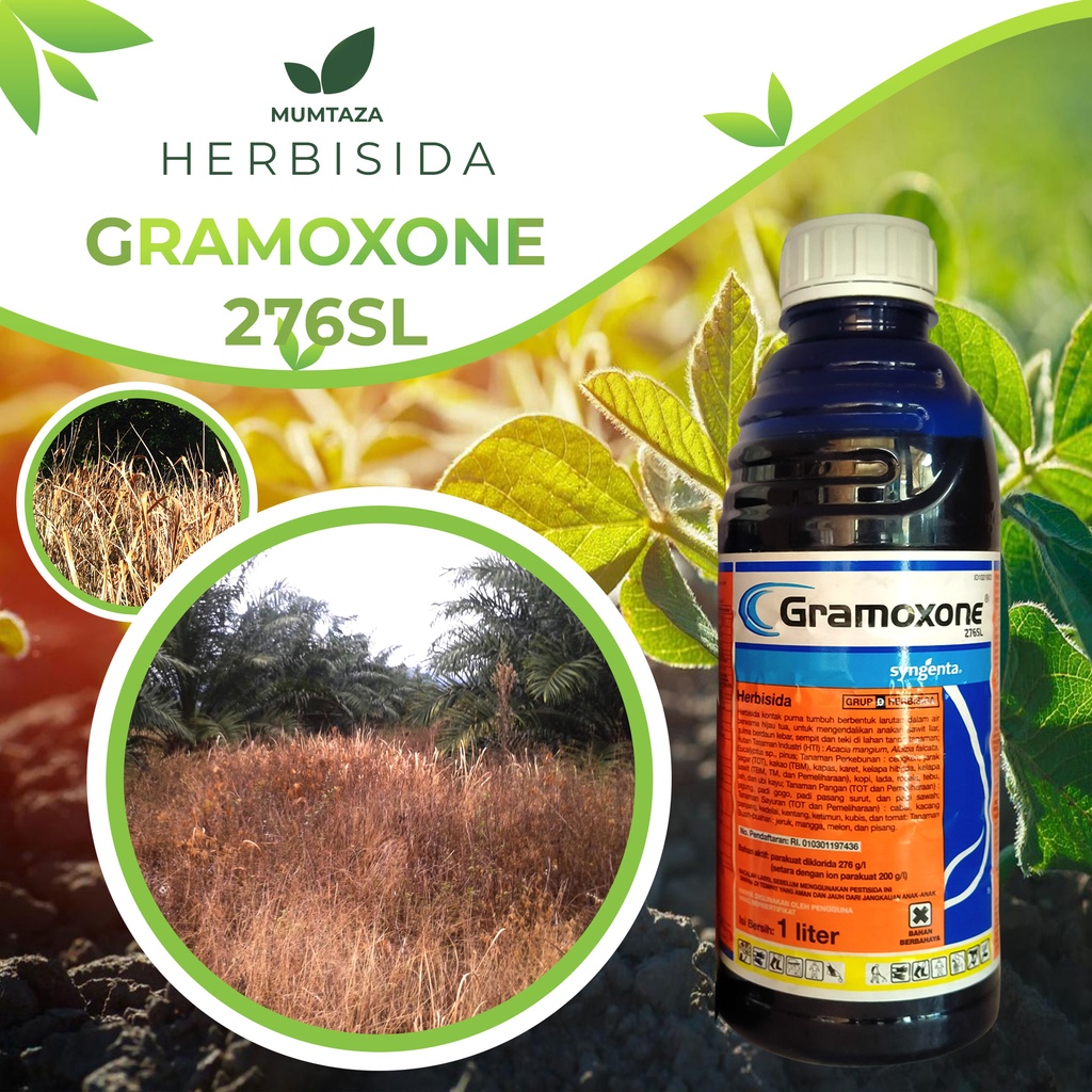 Jual Herbisida Gramoxone 276sl Racun Pembasmi Rumput And Gulma 250 Ml