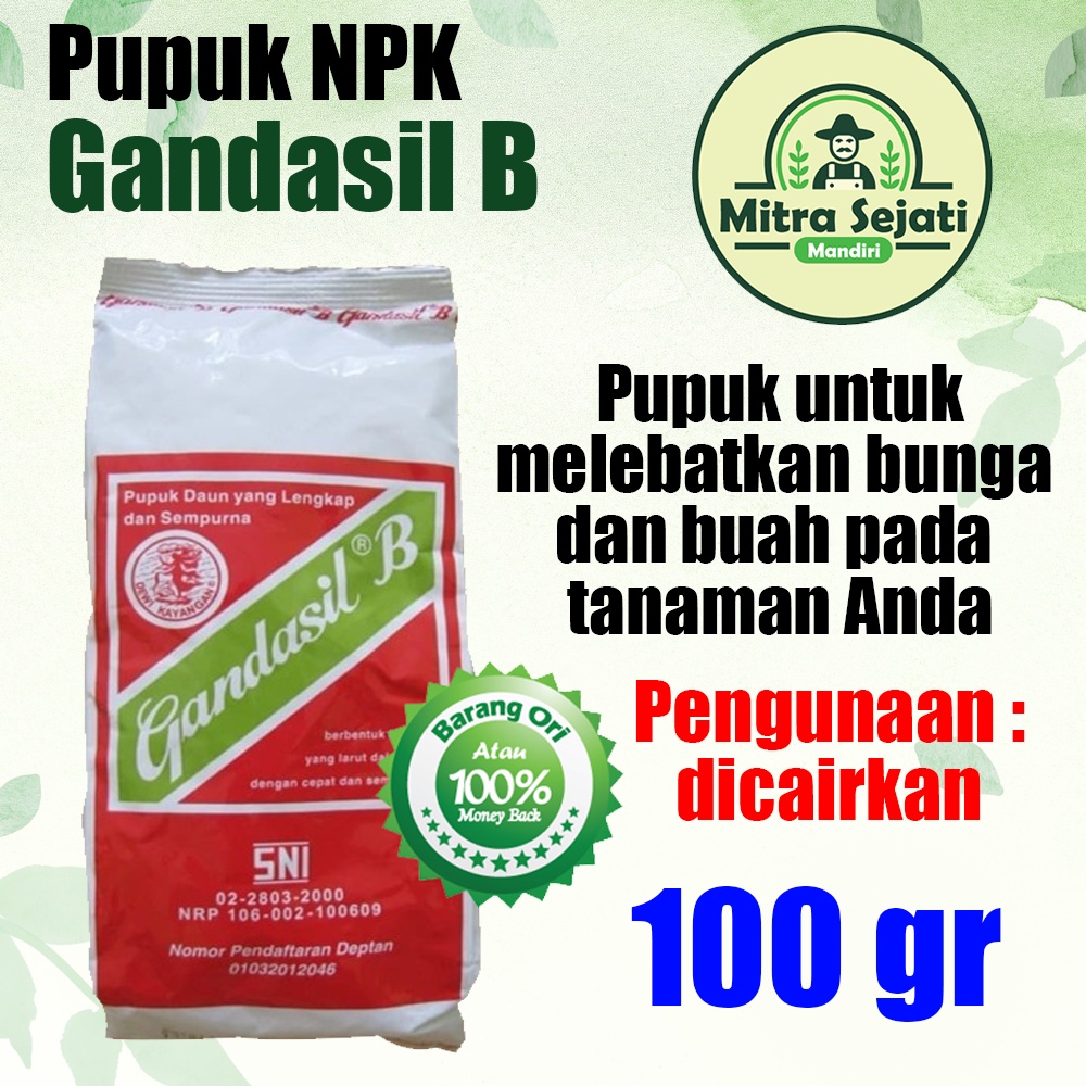 Jual Pupuk Gandasil B 100 Gram Pupuk NPK Fase Bunga Dan Buah Pada ...