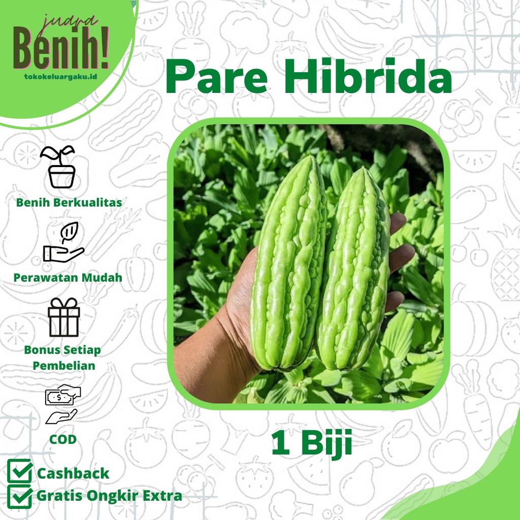 Jual Benih Pare Hibrida F1 1 Biji Sayuran Pahit Besar Komando Bibit