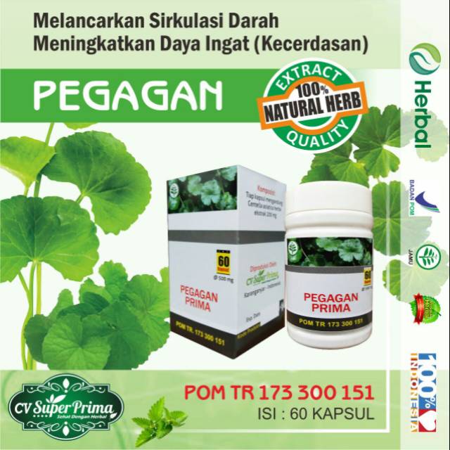 Jual Kapsul Ekstrak Pegagan Herbal Asli Original 100 60kaps