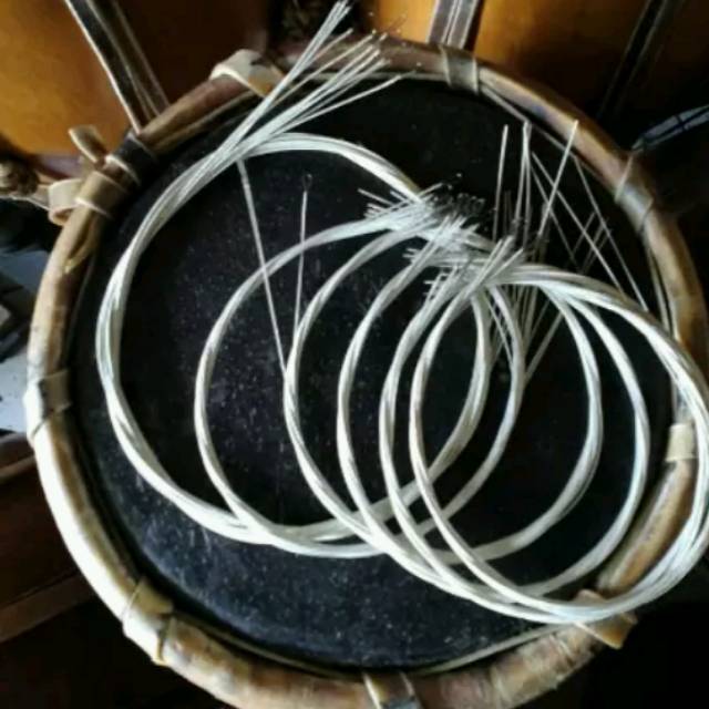 Jual kawat kacapi sunda | Shopee Indonesia