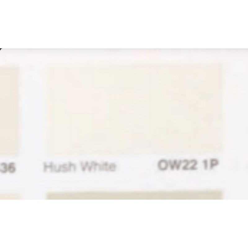 Jual Cat Vinilex Nippon Paint Tinting Hush White Galon / Khusus Gosend