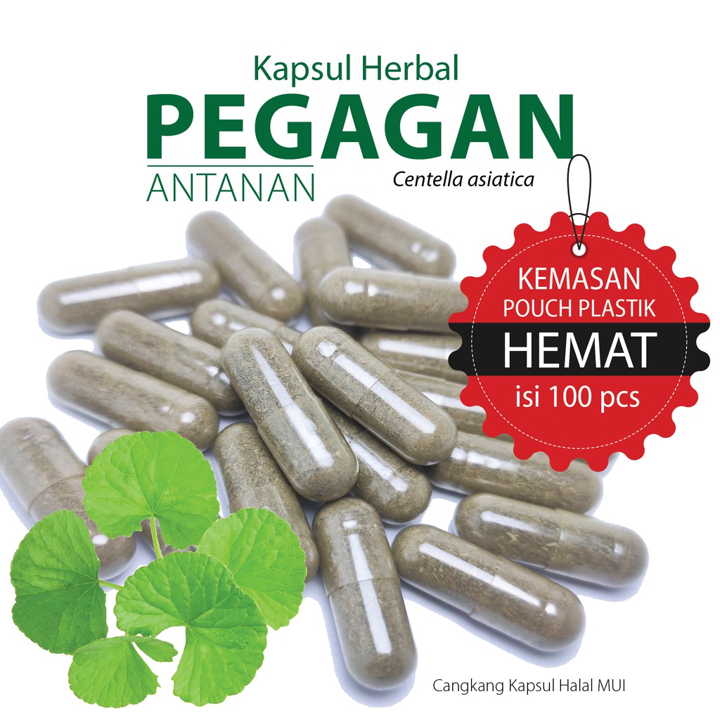 Jual Pegagan Antanan Kapsul Herbal Kemasan Hemat Isi 100 Shopee Indonesia 7582