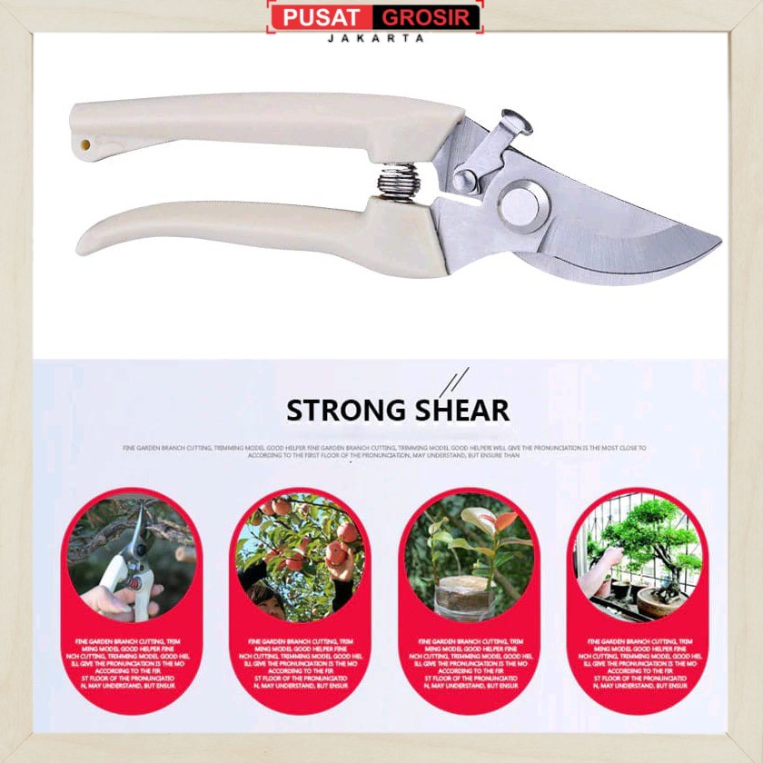 Jual S239 Gunting Dahan Ranting / Gunting Tanaman Tajam / Peralatan