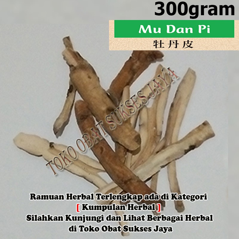 Jual [300gram] Mu Dan Pi / Shi Tan Pi - [ 丹皮 ] - Cortex Radicis Moutan ...