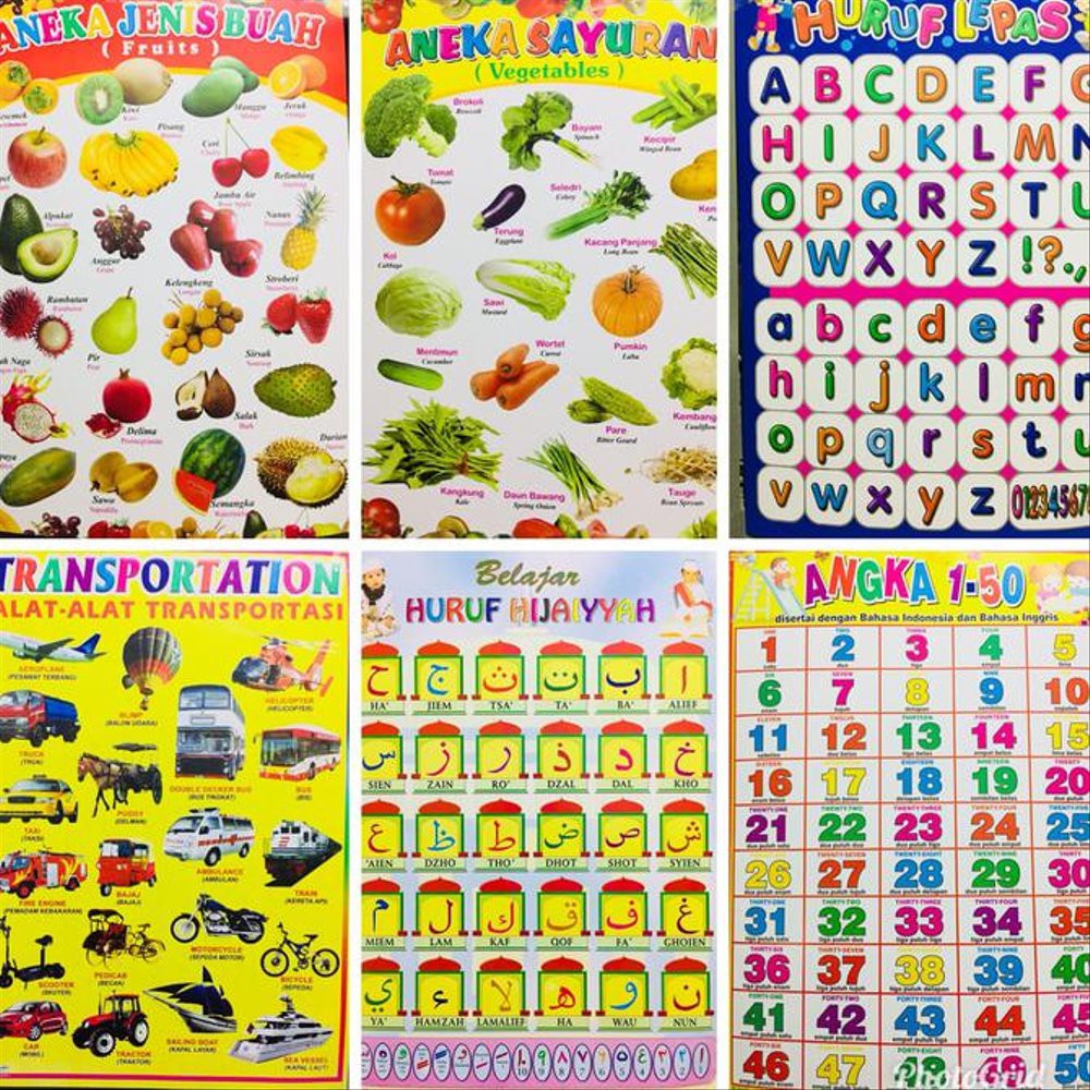 Jual JUAL POSTER GAMBAR FULL WARNA EDUKASI EDUKATIF PERLENGKAPAN