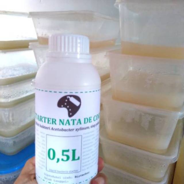 Jual STARTER NATA DE COCO, BIBIT NATA 500ml Shopee Indonesia