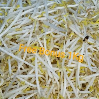 Jual Toge Bangkok | Tauge | Toge Panjang 500gr + Gratis Bonus | Shopee ...