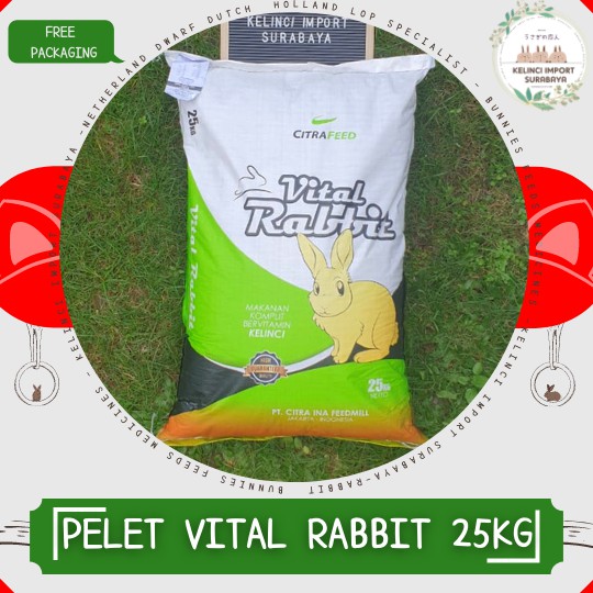 Jual VITAL RABBIT Makanan Kelinci/Guinea Pig - 25KG KARUNGAN | Shopee ...