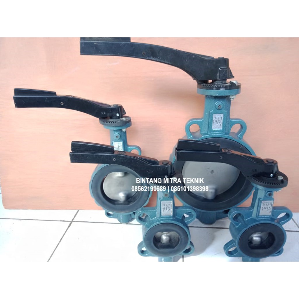 Jual Butterfly Valve Ebro Armaturen Dn Pn Shopee Indonesia