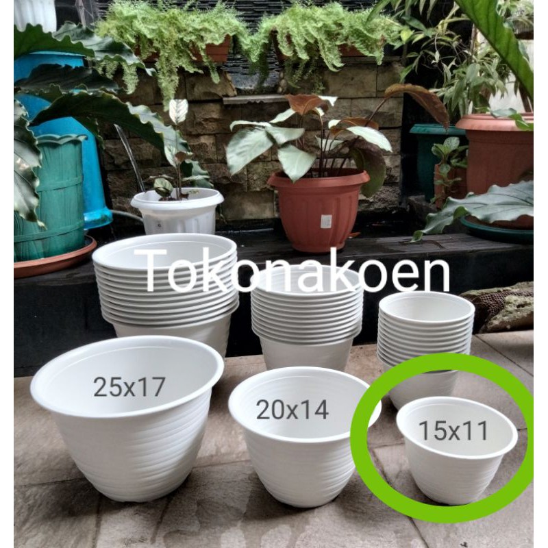 Jual Pot Tawon Putih Ukuran Cm Merek Yukari Shopee Indonesia