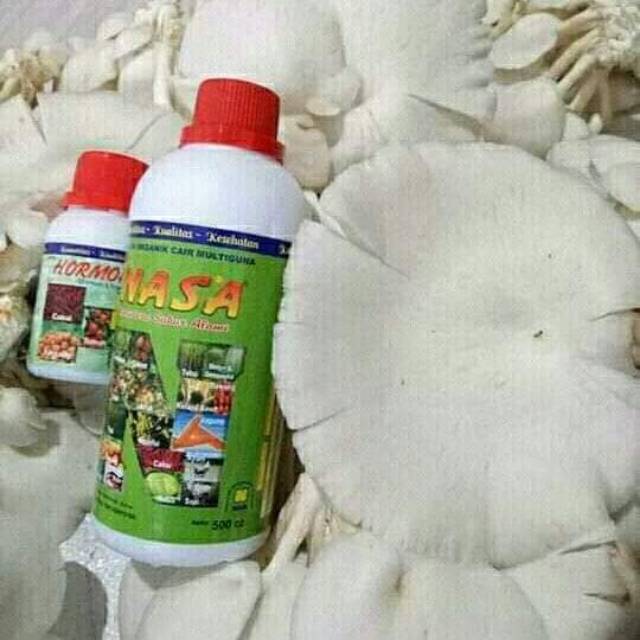 Jual PUPUK ORGANIK NASA BUDIDAYA JAMUR TIRAM mempercepat pertumbuhan