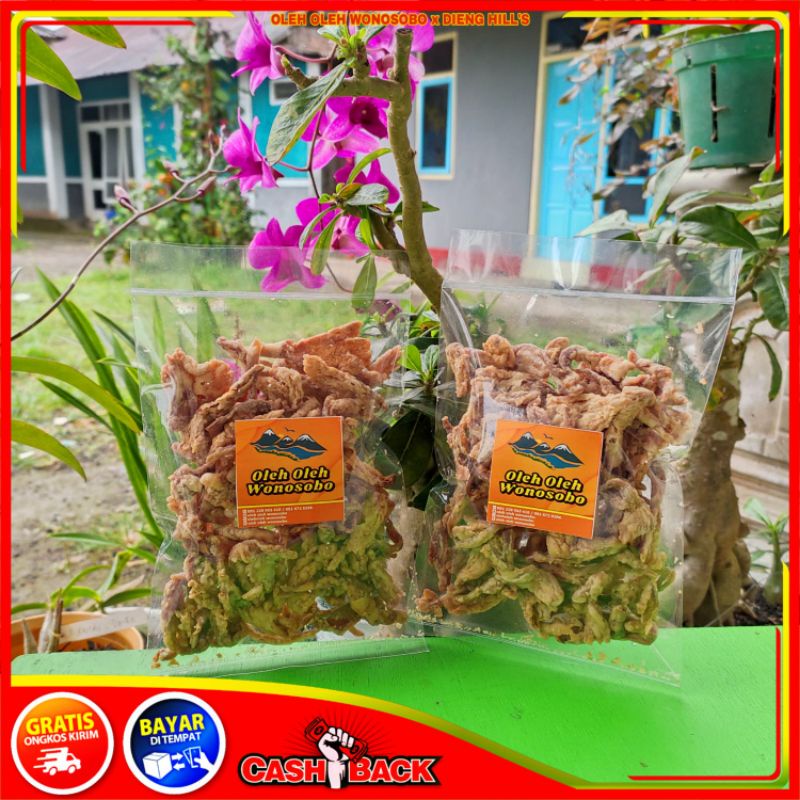 Jual Terenak Keripik Jamur Tiram Khas Wonosobo Shopee Indonesia