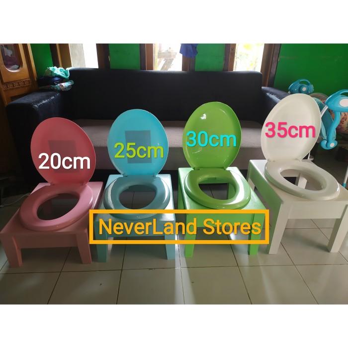 Jual Kursi Toilet Wc Duduk Portable Shopee Indonesia