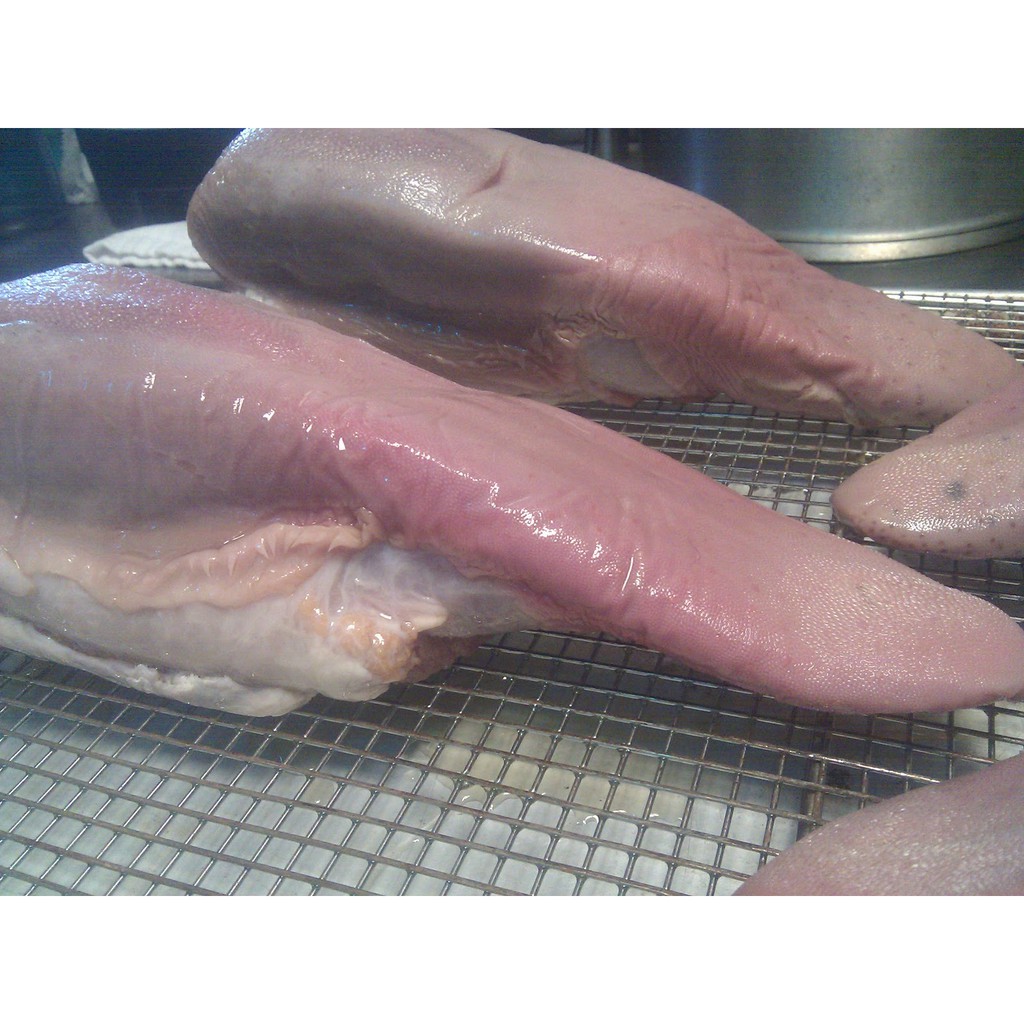 Jual Lidah Sapi Segar 1pc 800gr (Fresh Beef Tongue) | Shopee Indonesia