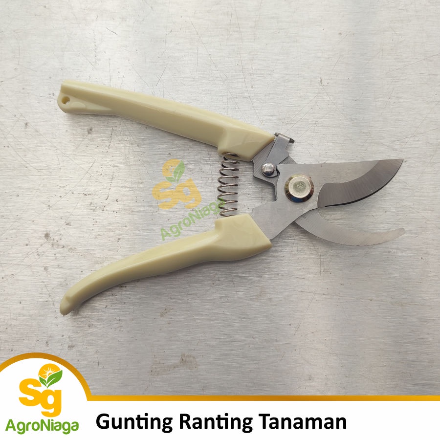 Jual Gunting Ranting Untuk Tanaman Berbahan Stainless | Shopee Indonesia