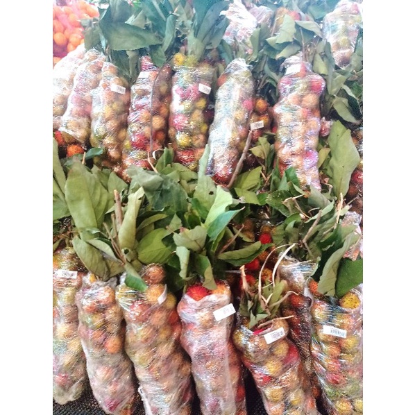 Jual Rambutan Rapiah Super Manis / ikat | Shopee Indonesia