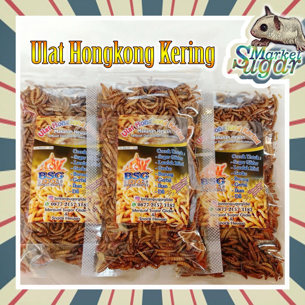 Jual Ulat Hongkong Kering Makanan Hewan Cemilan Hewan Sugar Glider Protein Hewan