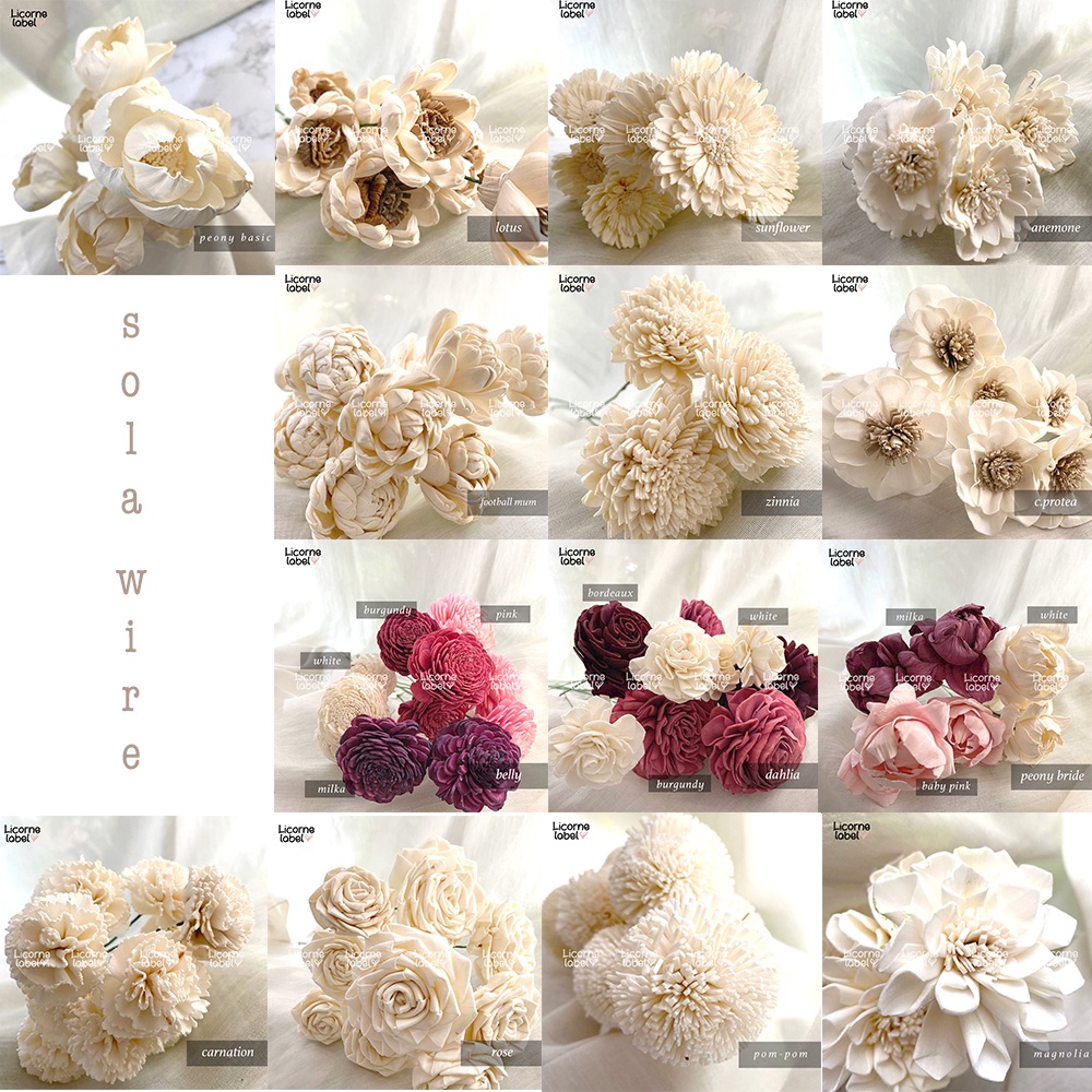 Jual Sola Wire Flowers / Stick Bunga Sola Reed Diffuser / Bunga Kering ...