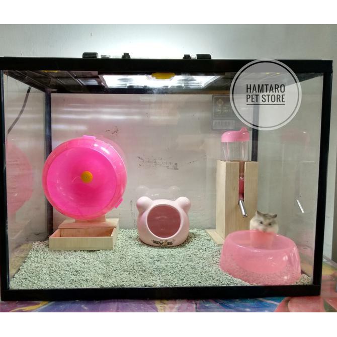 Curated visual reference: Thai Hamster Aquarium Ideas Reference: Jual Terarium Kandang Hamster Aquarium Fullset Medium