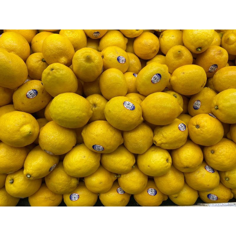 Jual lemon import USA | 0.5 kg | Shopee Indonesia