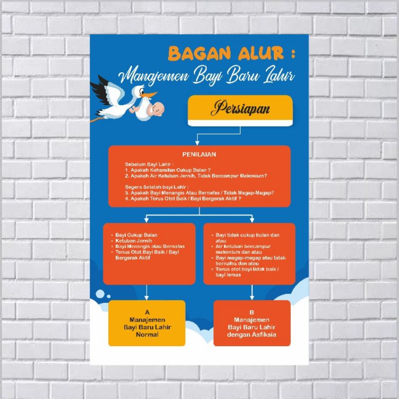 Jual Poster Kebidanan Manajemen Bayi Baru Lahir | Shopee Indonesia