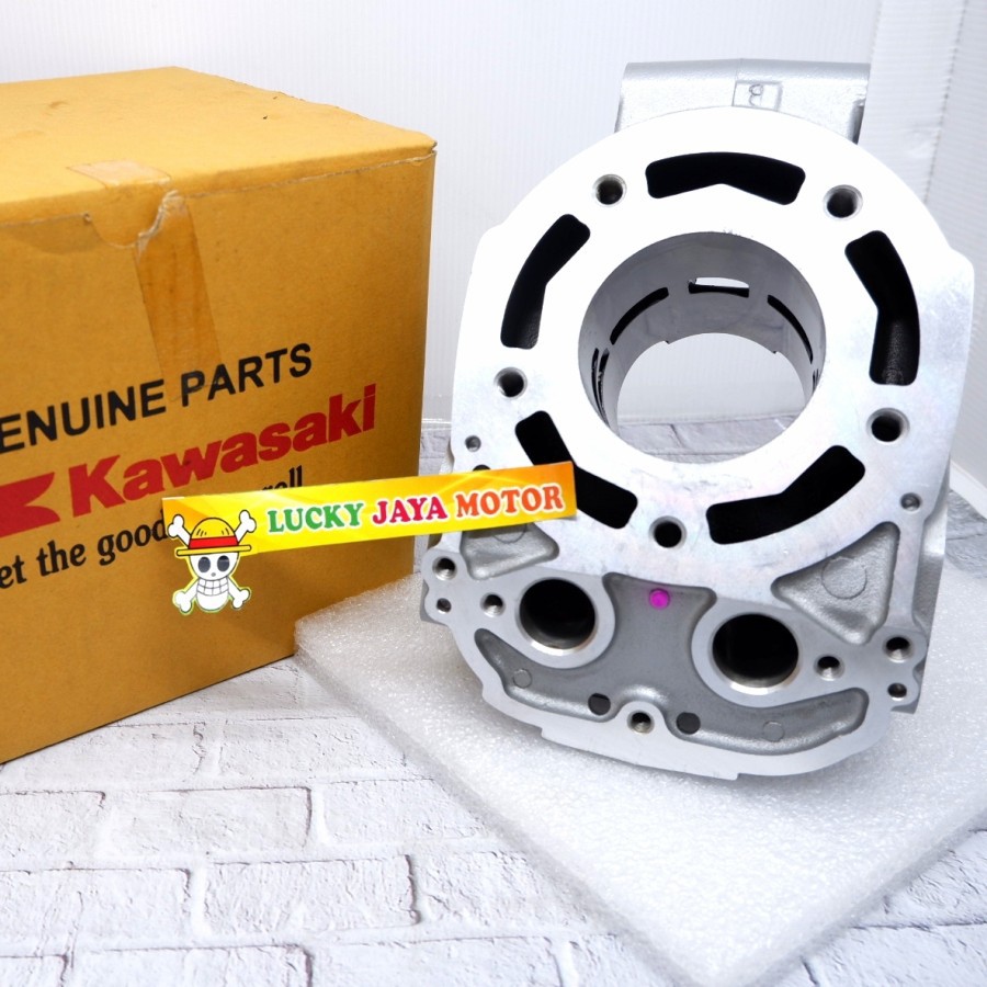 Jual cylinder Boring Blok seher Ninja R Rr 11005-1878-W3 Original ...