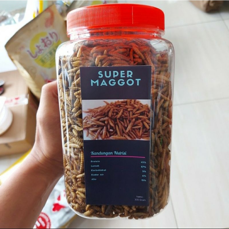 Jual Maggot Magot Bsf Oven Kering Gram Shopee Indonesia