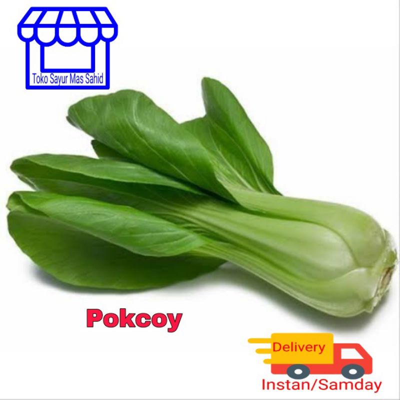 Jual Pakcoy Segar Sayur Pokcoy 1 Kg Shopee Indonesia