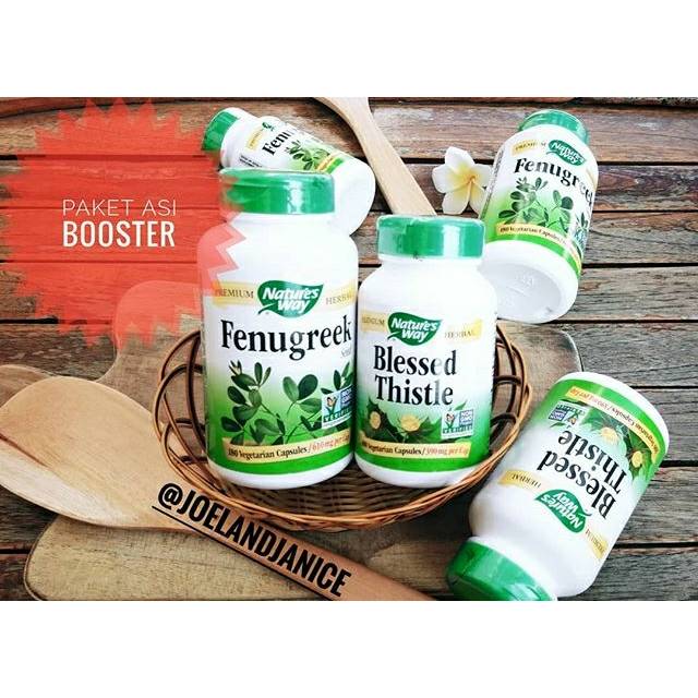Jual PAKET FENUGREEK DAN BLESSED THISTLE ASI BOOSTER A Shopee Indonesia