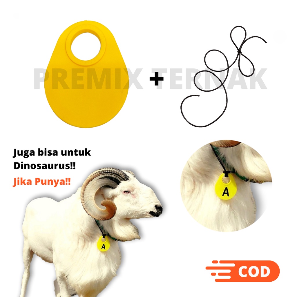 Jual NECK TAG KAMBING FREE TALI TINGGAL PASANG - NECKTAG Penanda Kalung ...
