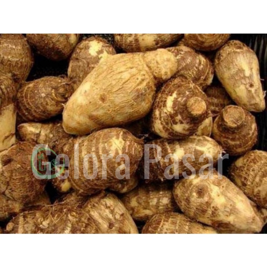 Jual Talas Mbote Umbi Talas FRESH Kg Shopee Indonesia