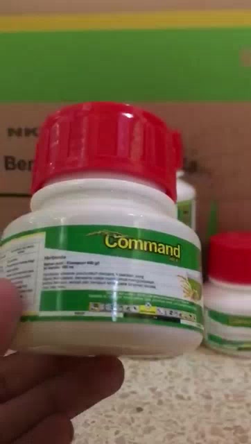 Jual Herbisida COMMAND 480 EC ASLI TERJAMIN Obat Gulma padi daun lebar ...