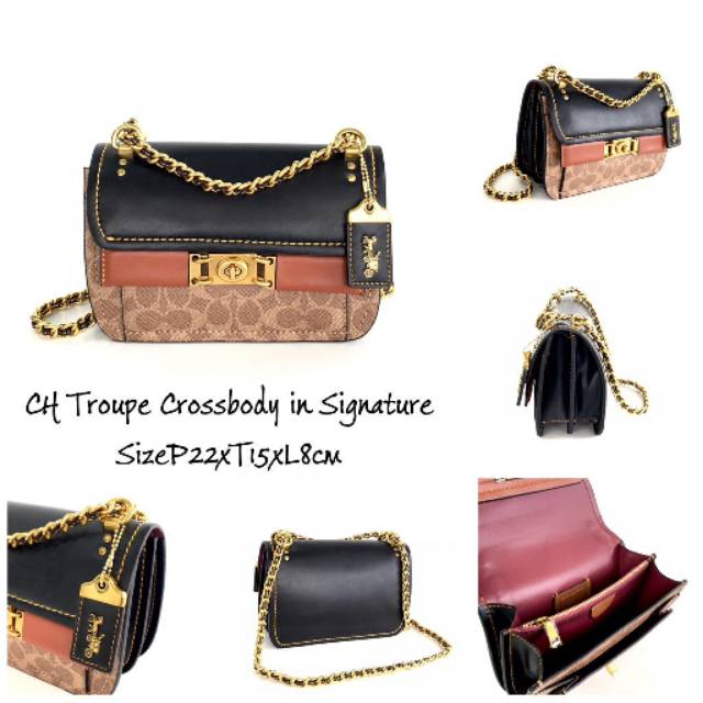 Troupe best sale crossbody coach