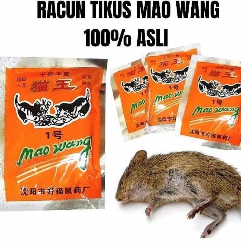 Jual Maowang Racun Tikus Ampuh Mao Wang Shopee Indonesia