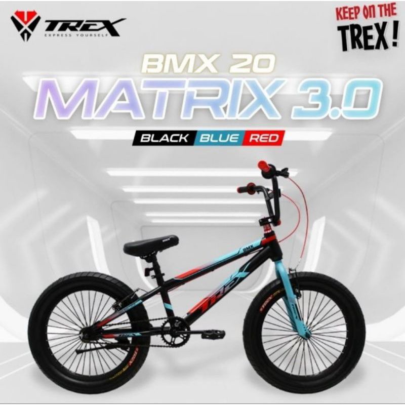 Jual Sepeda Bmx 20 x 3.0 Ban Jumbo Trex Matrix Besi tebal V.brake n cakram Murah Shopee Indonesia