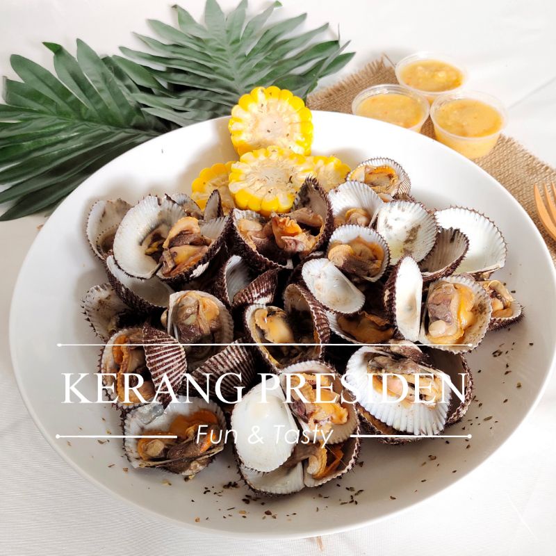 Jual Kerang Bulu 1kg (Kerang Presiden) | Shopee Indonesia
