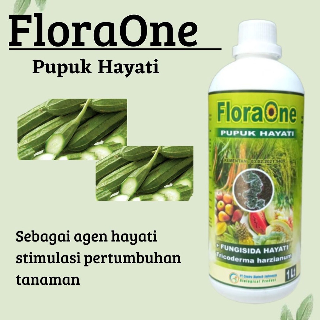 Jual Floraone Pupuk Hayati Fungisida Hayati Tricoderma Harzianum Agar Tanaman Gambas Tumbuh