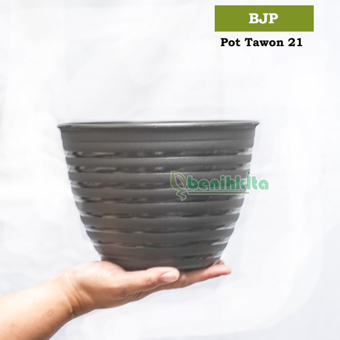 Jual Pot Tanaman Bunga Tawon Ori Hitam Bjp Shopee Indonesia