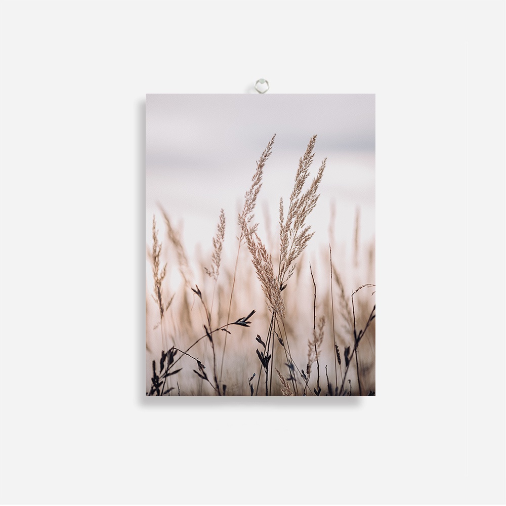 Jual Hiasan dinding aesthetic dinding dekorasi / Pajangan dinding