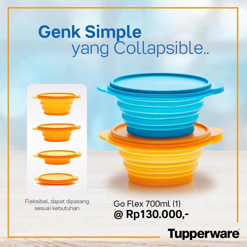 Jual Tupperware Go Flex 700ml (1) | Shopee Indonesia