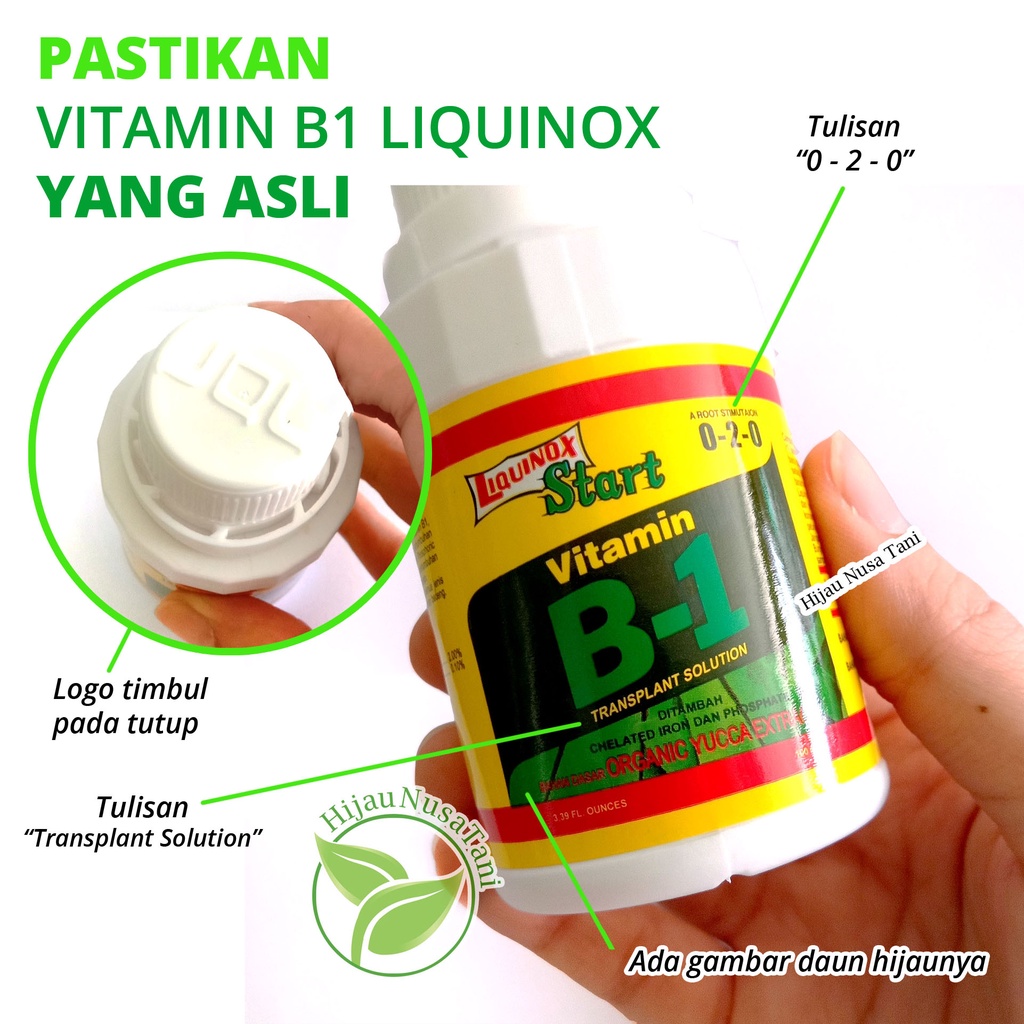 Jual Pupuk Liquinox B1 100 Ml - ASLI ORIGINAL ZPT Vitamin Anti Stress ...