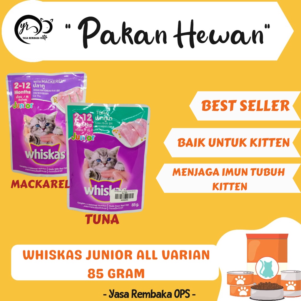 Jual WHISKAS JUNIOR 85gr Makanan Basah Kitten Rasa Tuna & Mackarel