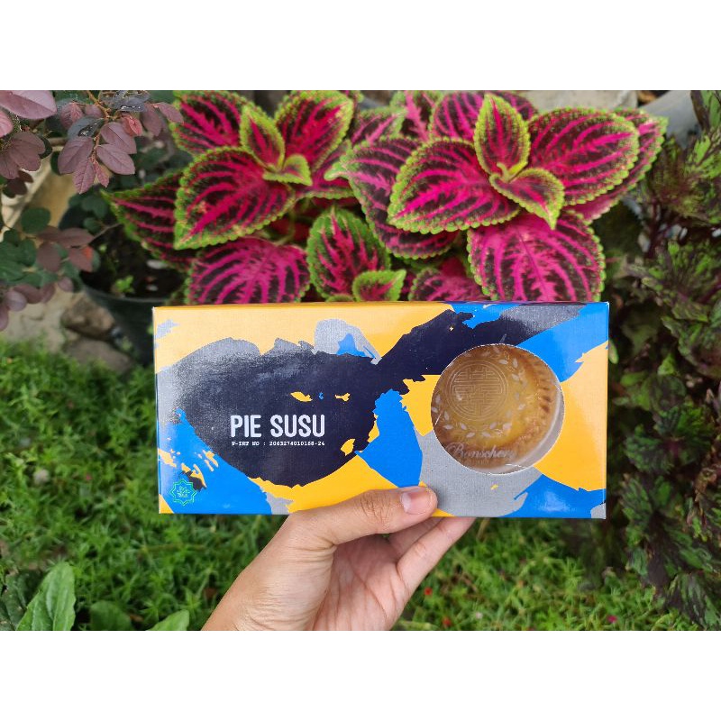 Jual Pie Susu Legendaris Bonschery Oleh Oleh Khas Cirebon | Shopee ...