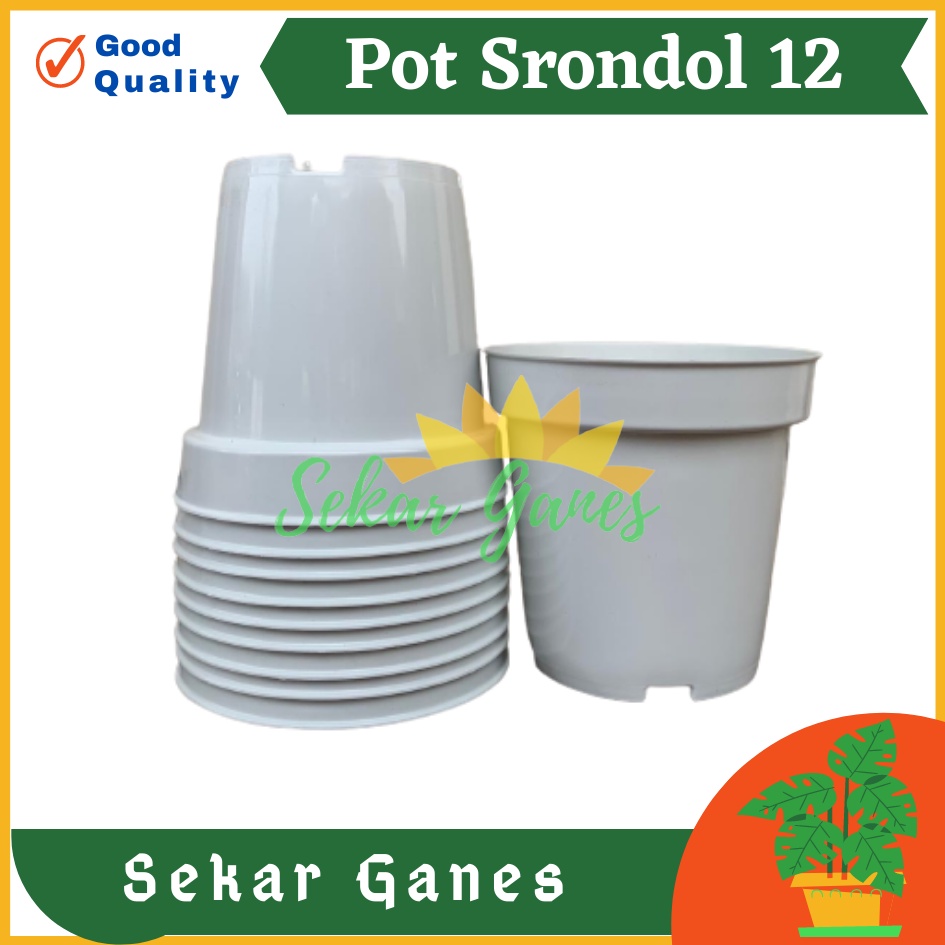 Jual Pot Tinggi Srondol Putih Pot Tinggi Usa Effiel Lusinan Pot Tinggi Tirus