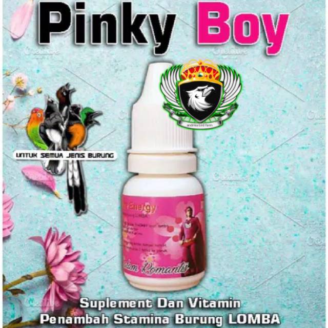 Jual PINKY BOY SUPLEMEN DAN VITAMIN Untuk Semua Jenis Burung by