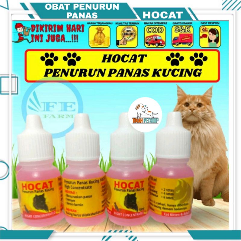 Jual Hocat 10 ml Obat Penurun Demam Panas Pada Kucing Kitten Cat ...
